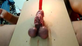 wax on the toy cock2